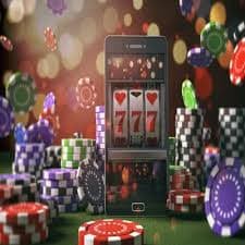 955bet