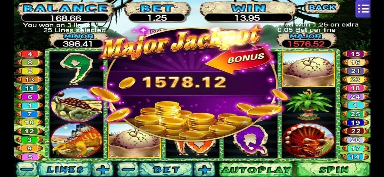 955bet