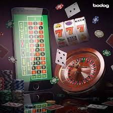 955bet