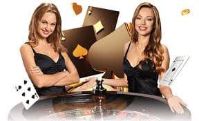 955bet